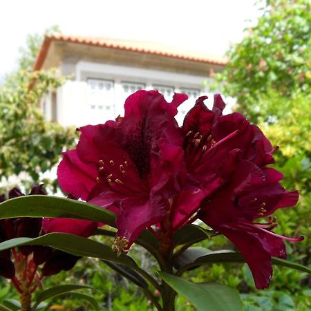Quinta Do Bento Novo - Casa De Campo - Turismo Rural 비아나도카스텔로 외부 사진