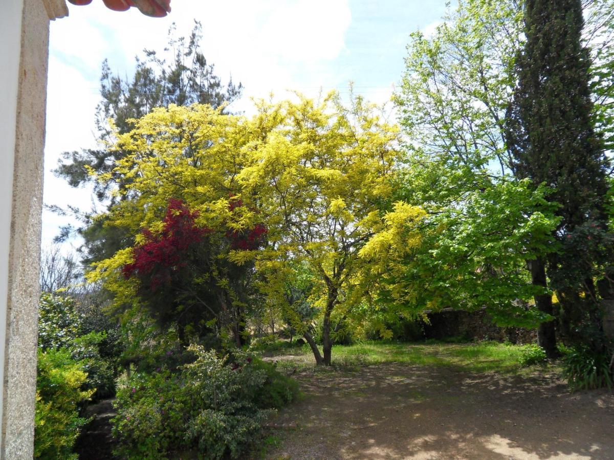 Quinta Do Bento Novo - Casa De Campo - Turismo Rural 비아나도카스텔로 외부 사진
