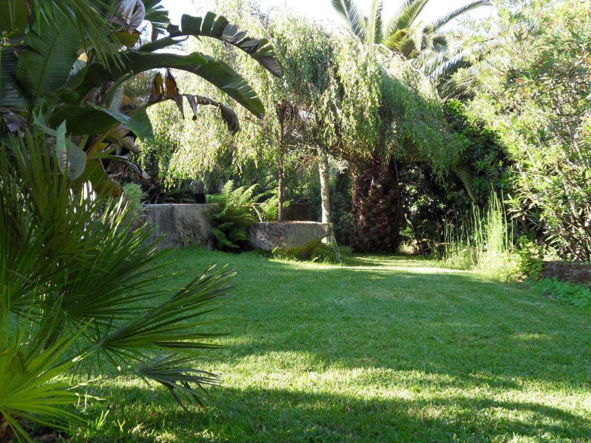 Quinta Do Bento Novo - Casa De Campo - Turismo Rural 비아나도카스텔로 외부 사진
