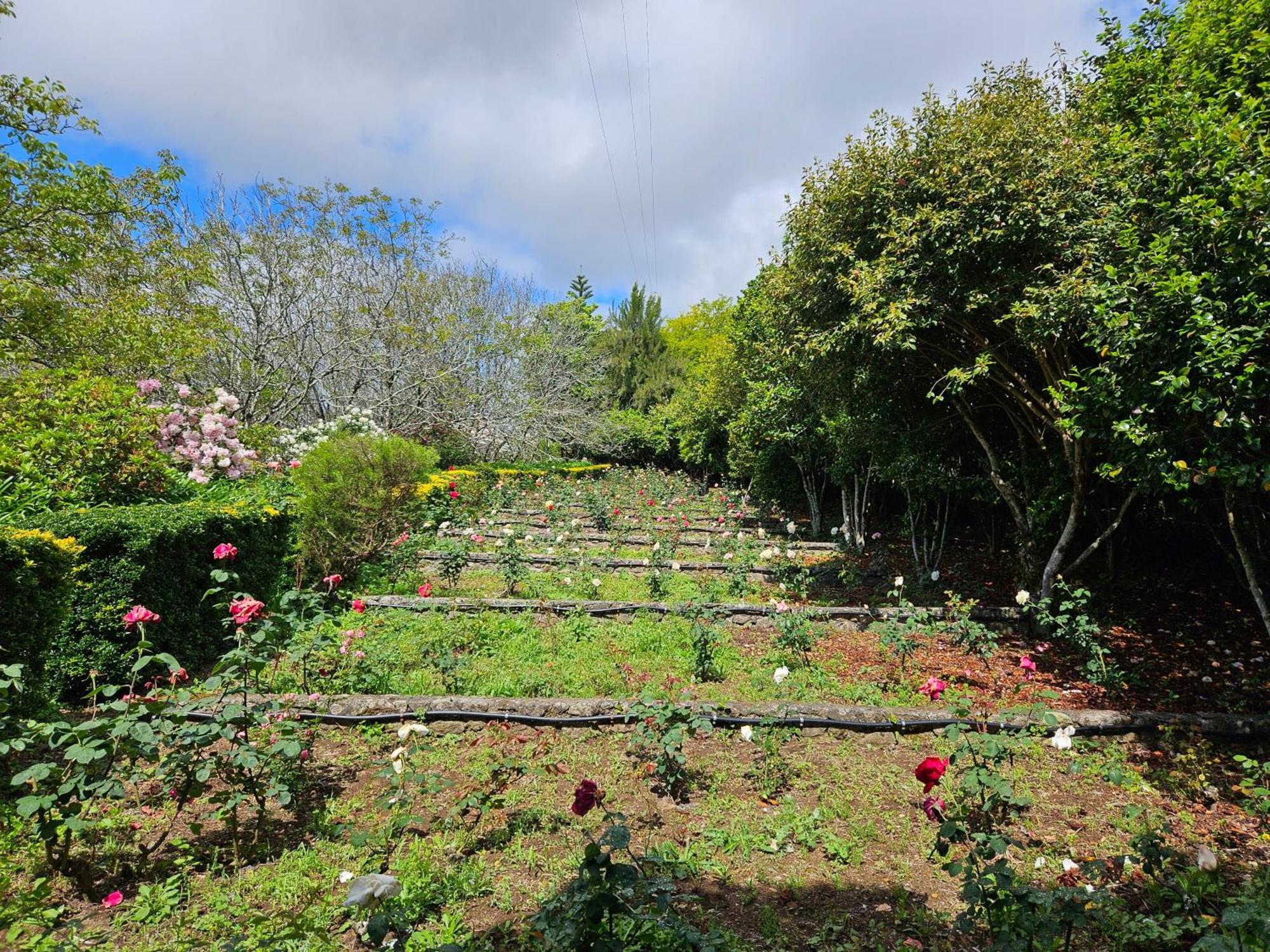 Quinta Do Bento Novo - Casa De Campo - Turismo Rural 비아나도카스텔로 외부 사진