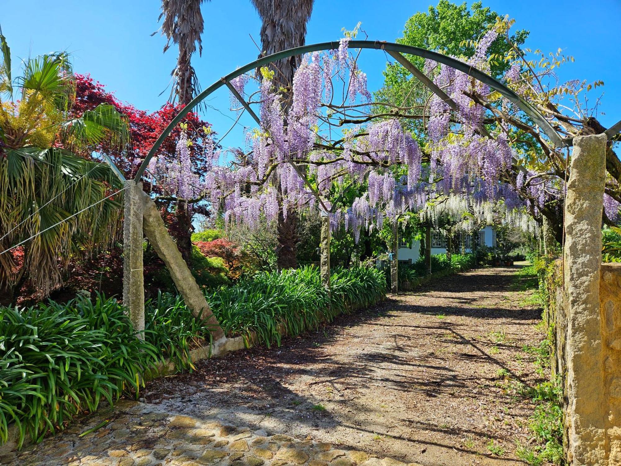 Quinta Do Bento Novo - Casa De Campo - Turismo Rural 비아나도카스텔로 외부 사진